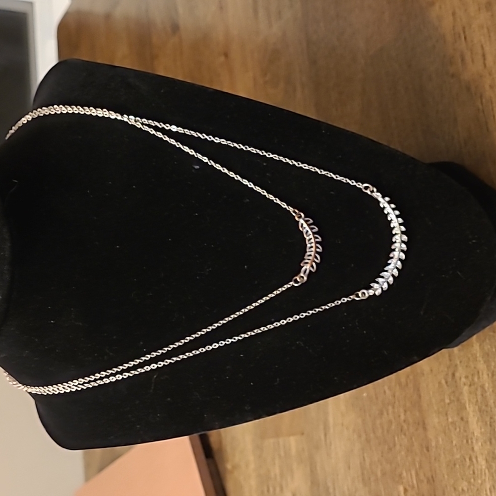 Silver 2 strand necklace